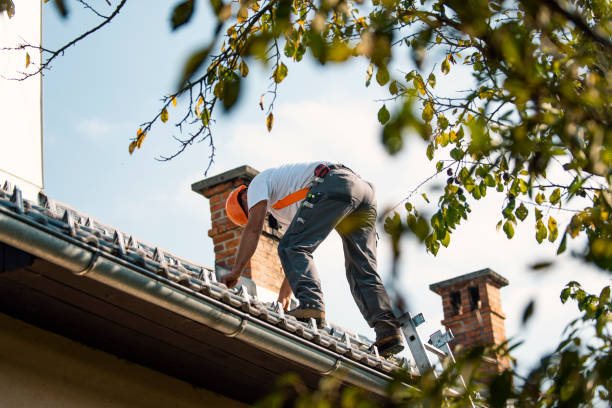 Quick and Trustworthy Emergency Roof Repair Services in Ash Grove, MO